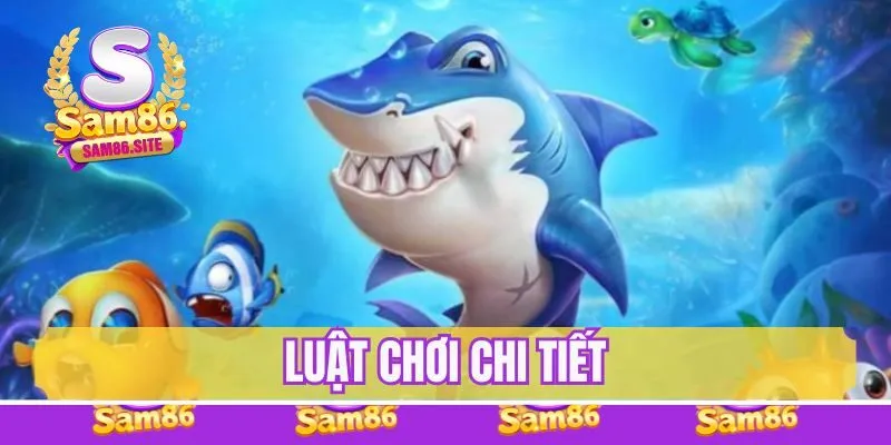 Luật chơi chi tiết