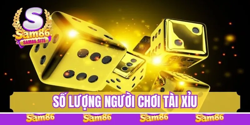 Số lượng người chơi